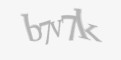 Защитный код